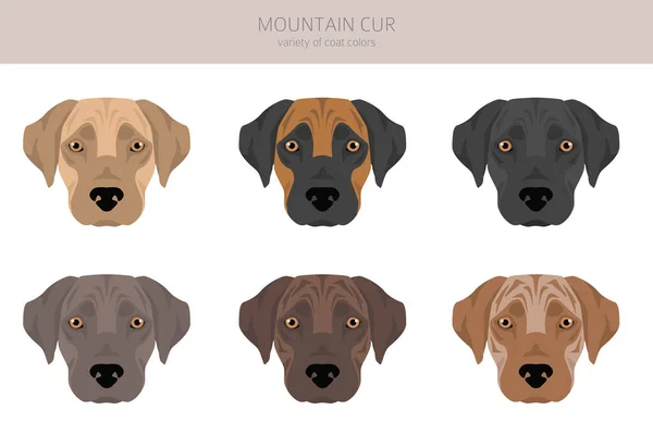 Mountain Cur Clipart Verschillende Houdingen Jas Kleuren Set Vectorillustratie — Stockvector