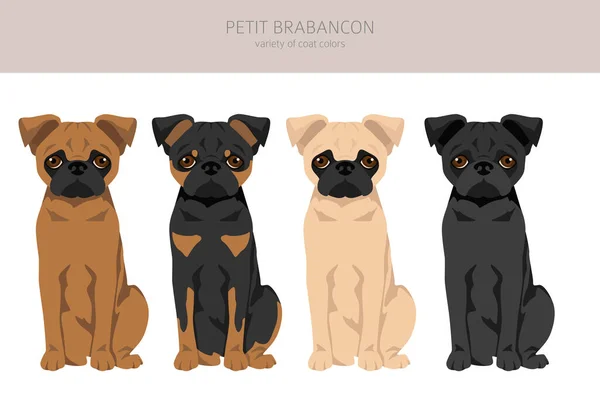 Petit Brabancon Piccoli Cani Belgi Clipart Posate Diverse Colori Del — Vettoriale Stock