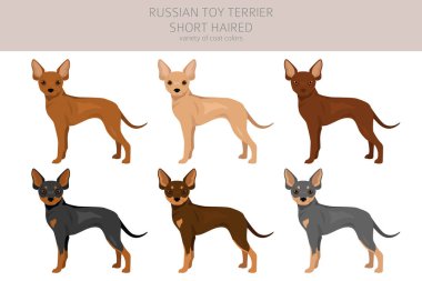 Rus oyuncak teriyeri kısa devre yaptı. Farklı pozlar, farklı renkler. Vektör illüstrasyonu