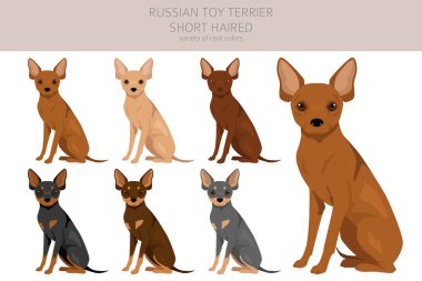Rus oyuncak teriyeri kısa devre yaptı. Farklı pozlar, farklı renkler. Vektör illüstrasyonu