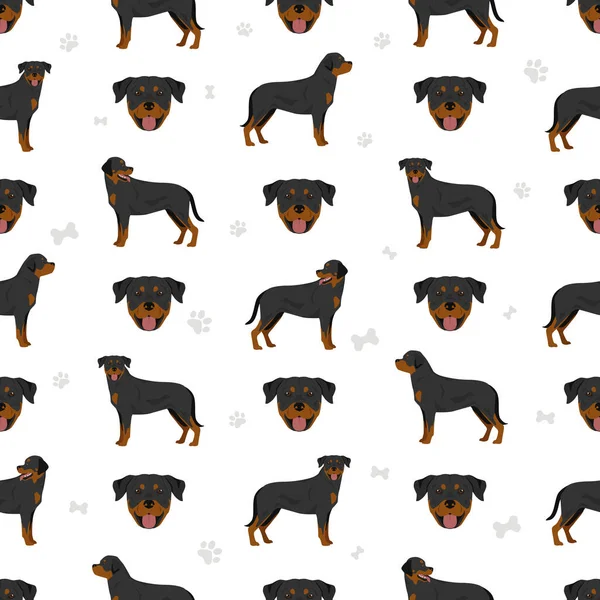 Rottweiler Padrão Sem Costura Poses Diferentes Conjunto Cores Casaco Ilustração —  Vetores de Stock