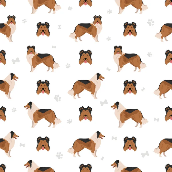 Rough Collie Seamless Pattern Different Poses Coat Colors Set Vector — Stock Vector