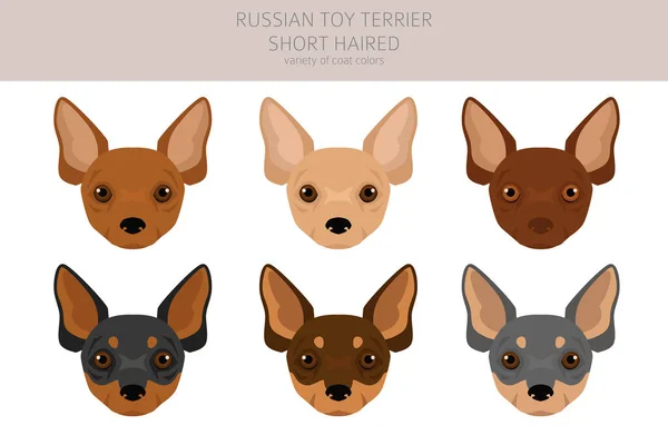 俄罗斯玩具狗缩短了飞行时间 不同的姿势 不同的外套颜色 矢量说明 — 图库矢量图片