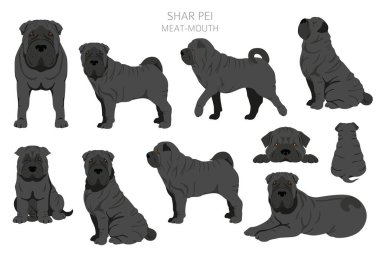 Shar Pei (modern) et ağızlı Clipart. Farklı pozlar, farklı renkler. Vektör illüstrasyonu