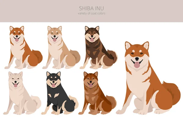 Shiba Inu Tamanho Pequeno Japonês Cão Casaco Cores Diferentes Poses —  Vetores de Stock