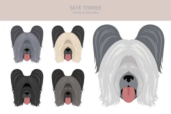 Skye Terrier Cappotto Colori Diverse Pose Clipart Illustrazione Vettoriale — Vettoriale Stock
