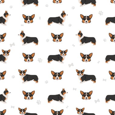 Galli Corgi Pembroke kusursuz desen. Tüm ceket renkleri ayarlandı. Bütün köpekler karakteristik bilgileri çoğaltır. Vektör illüstrasyonu