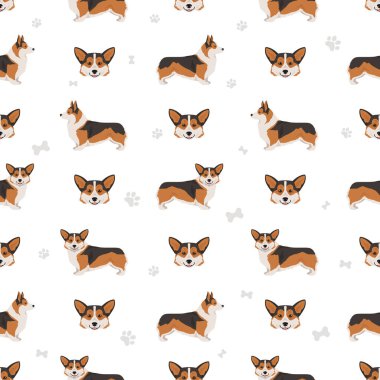 Galli Corgi Pembroke kusursuz desen. Tüm ceket renkleri ayarlandı. Bütün köpekler karakteristik bilgileri çoğaltır. Vektör illüstrasyonu