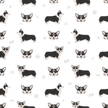 Galli Corgi Pembroke kusursuz desen. Tüm ceket renkleri ayarlandı. Bütün köpekler karakteristik bilgileri çoğaltır. Vektör illüstrasyonu