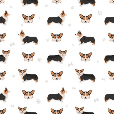 Galli Corgi Pembroke kusursuz desen. Tüm ceket renkleri ayarlandı. Bütün köpekler karakteristik bilgileri çoğaltır. Vektör illüstrasyonu