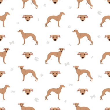 Kırbaç izi yok. Farklı pozlar, farklı renkler. Vektör illüstrasyonu