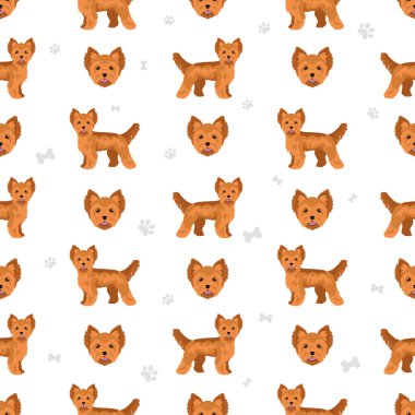 Yorkshire Teriyeri kusursuz desen. Farklı pozlar, farklı renkler. Vektör illüstrasyonu