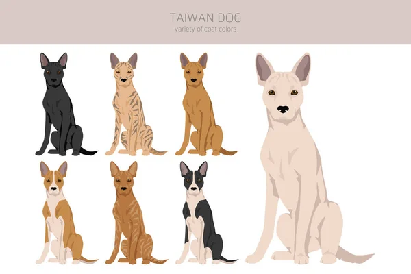 Taiwan Dog Clipart Verschiedene Posen Festgelegte Fellfarben Vektorillustration — Stockvektor