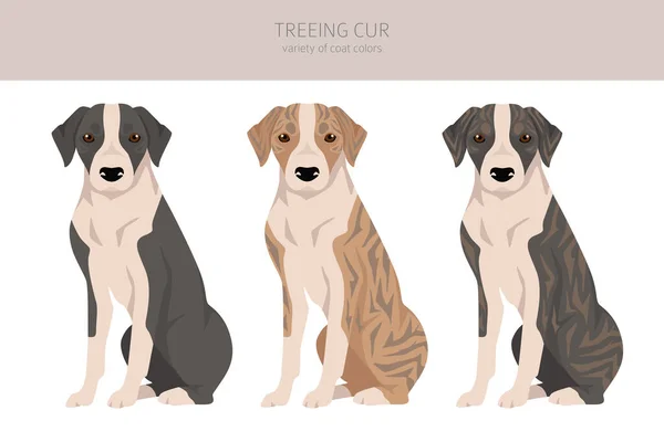 クリアパートの木だ すべてのコートの色セット すべての犬は特徴的なインフォグラフィックを繁殖させます ベクターイラスト — ストックベクタ