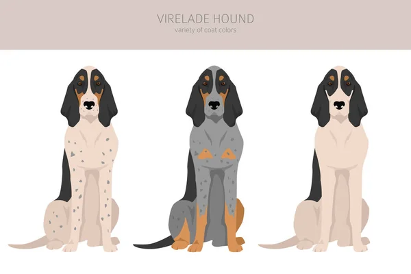Virelade Hound Clipart Tüm Ceket Renkleri Ayarlandı Bütün Köpekler Karakteristik — Stok Vektör