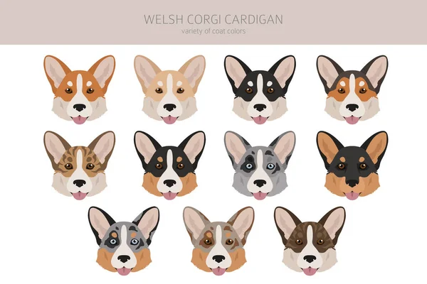 Welsh Corgi Cardigan Clipart Pose Yang Berbeda Warna Mantel Ditetapkan - Stok Vektor
