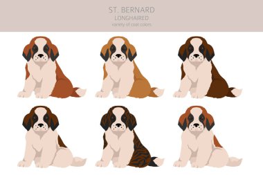 St Bernard yavru köpek ceketi renkleri, farklı pozlar klipsleme. Vektör illüstrasyonu