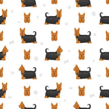 Avustralya ipeksi teriyeri tüm renkler toplanır. Farklı ceket renkleri ve pozlar. Vektör illüstrasyonu