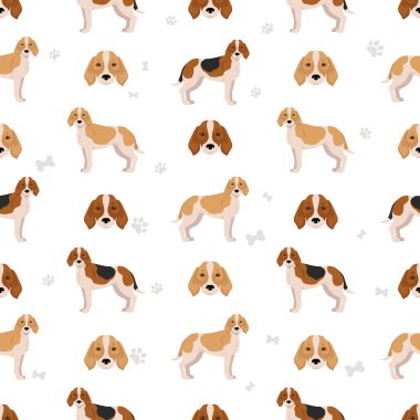 Beagle Harrier kusursuz desen. Farklı ceket renkleri ve pozlar. Vektör illüstrasyonu