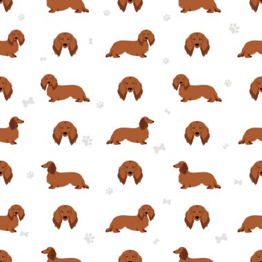 Dachshund uzun tüysüz desen. Farklı pozlar, farklı renkler. Vektör illüstrasyonu