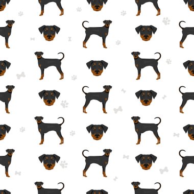 Doberman köpekleri kusursuz bir şekilde eziyor. Farklı pozlar, farklı renkler. Vektör illüstrasyonu