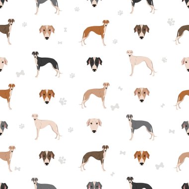 İngiliz tazı köpekleri farklı pozlarda. Tazıların kusursuz bir deseni var. Vektör illüstrasyonu