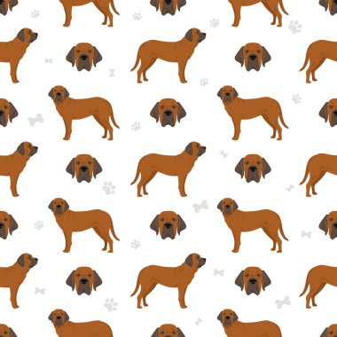 Fila Brasileiro seamless pattern.  Vector illustration