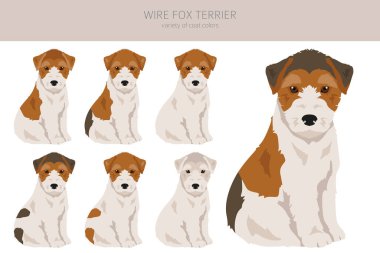 Tel tilki teriyeri köpek yavrusu klipsleri. Farklı pozlar, farklı renkler. Vektör illüstrasyonu