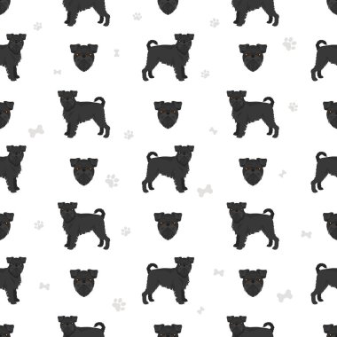 Griffon Belge kusursuz desen. Farklı pozlar, farklı renkler. Vektör illüstrasyonu