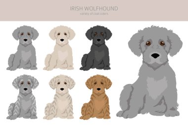 İrlandalı kurt köpek yavruları kesiliyor. Farklı pozlar, farklı renkler. Vektör illüstrasyonu