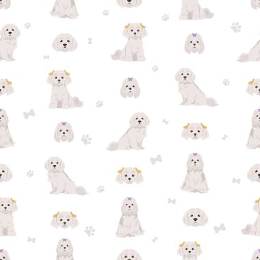 Maltese köpekleri farklı pozlarda dururlar. Vektör illüstrasyonu