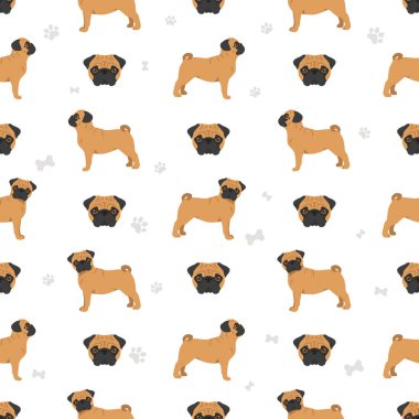 Pug pürüzsüz desen. Farklı pozlar, farklı renkler. Vektör illüstrasyonu