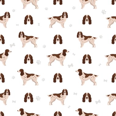 Rus Spaniel kusursuz desen. Tüm ceket renkleri ayarlandı. Bütün köpekler karakteristik bilgileri çoğaltır. Vektör illüstrasyonu
