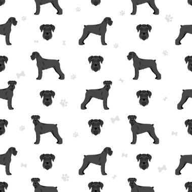 Schhnauzer Dev kusursuz desen. Farklı pozlar, farklı renkler. Vektör illüstrasyonu