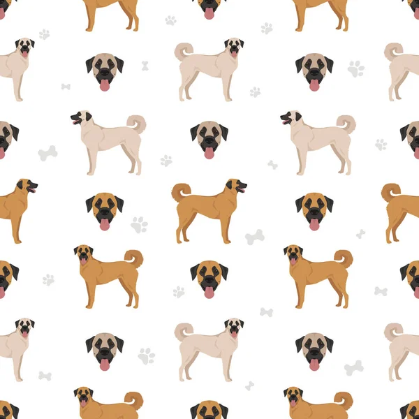 Anatolian Shepherd All Colours Seamless Pattern Different Coat Colors Poses — Stock Vector