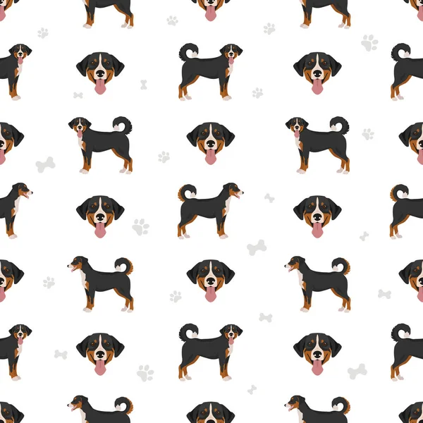 Appenzeller Sennenhund Tutti Colori Modello Senza Soluzione Continuità Diversi Colori — Vettoriale Stock