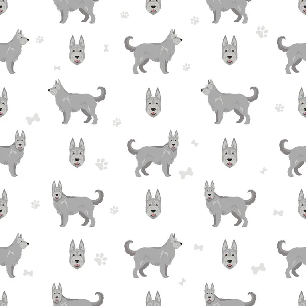 Berger Picard Seamless Pattern Different Coat Colors Poses Set Vector — Διανυσματικό Αρχείο