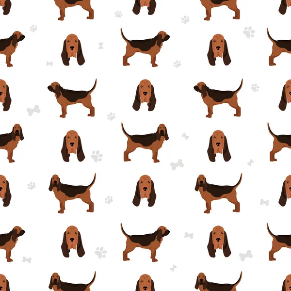 Bloodhound Bezproblémový Vzor Různé Barvy Srsti Pózy Vektorová Ilustrace — Stockový vektor