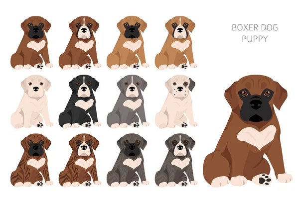 Boxer Cão Cachorros Clipart Todas Cores Casaco Definidas Posição Diferente —  Vetores de Stock