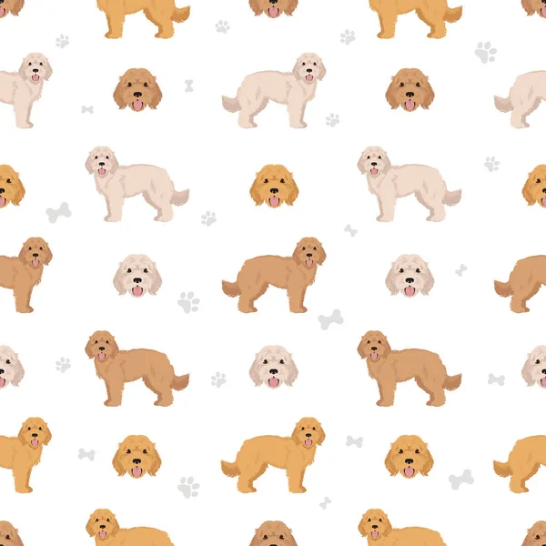 Cockapoo Seamless Pattern Different Poses Coat Colors Set Vector Illustration — Stock Vector