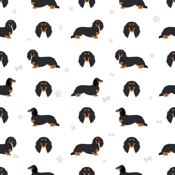 Dachshund Long Haired Seamless Pattern Different Poses Coat Colors Set — Stock Vector