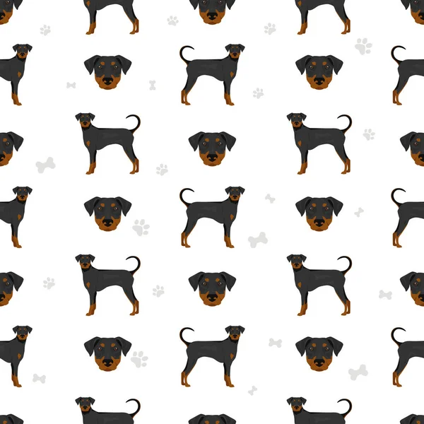 Doberman Pinscher Cães Sem Costura Padrão Poses Diferentes Conjunto Cores —  Vetores de Stock