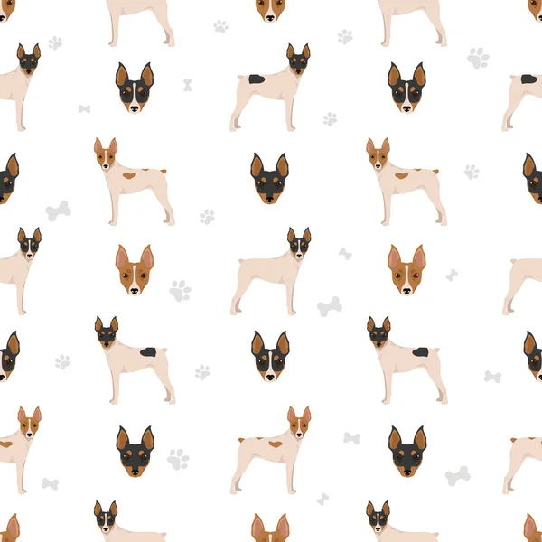 Fox Terrier Minyatür Pürüzsüz Desen Farklı Ceket Renkleri Vektör Illüstrasyonu — Stok Vektör