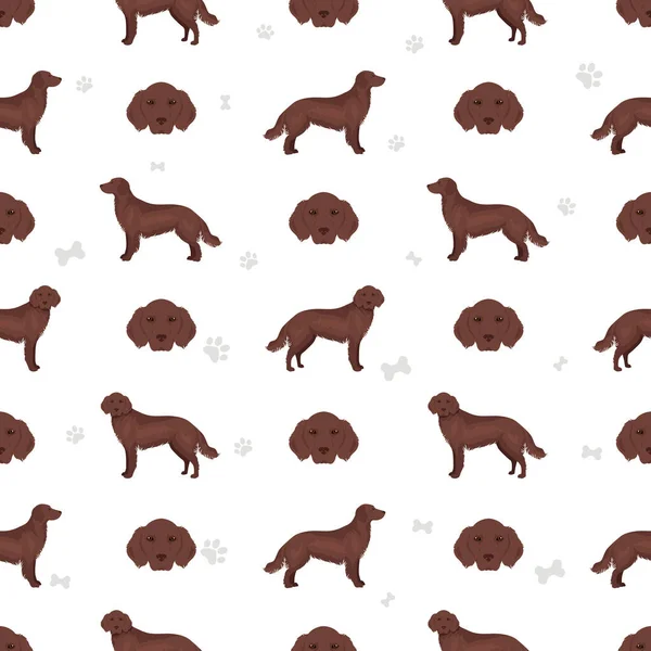 stock vector Flat coated retriever seamless pattern. Different poses, coat colors set.  Vector illustration