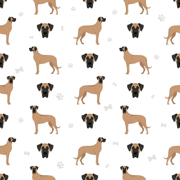 Great Dane Seamless Pattern Different Variaties Coat Color Dog Set — Stock Vector