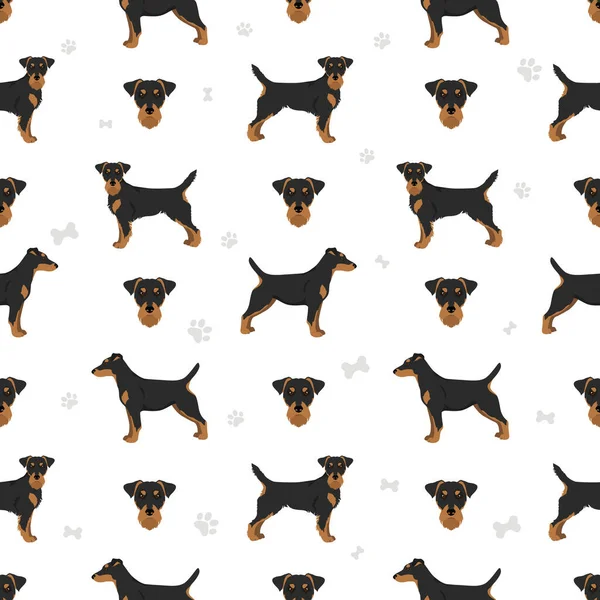 Jagdterrier Seamless Pattern Different Poses Coat Colors Set Vector Illustration — Stock Vector