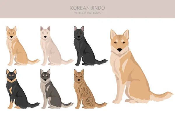 Korean Jindo Clipart Posate Diverse Colori Del Cappotto Impostati Illustrazione — Vettoriale Stock