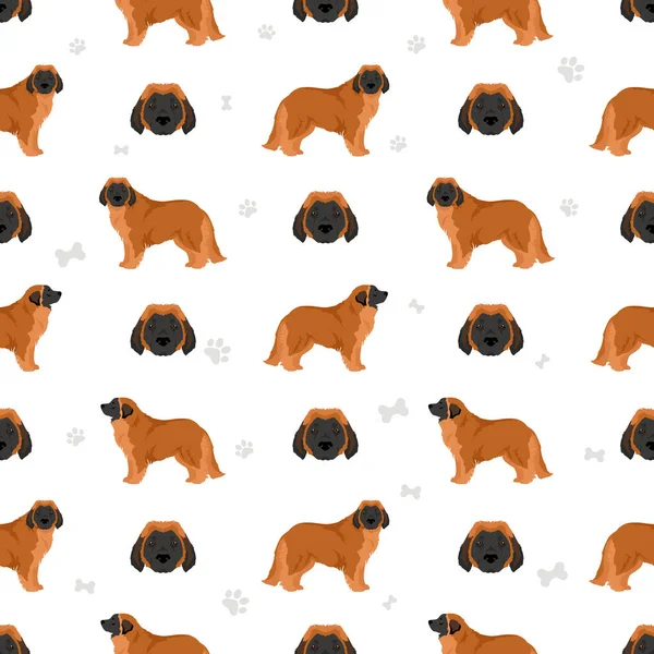 Leonberger Seamless Pattern Different Poses Coat Colors Set Vector Illustration — Stock Vector