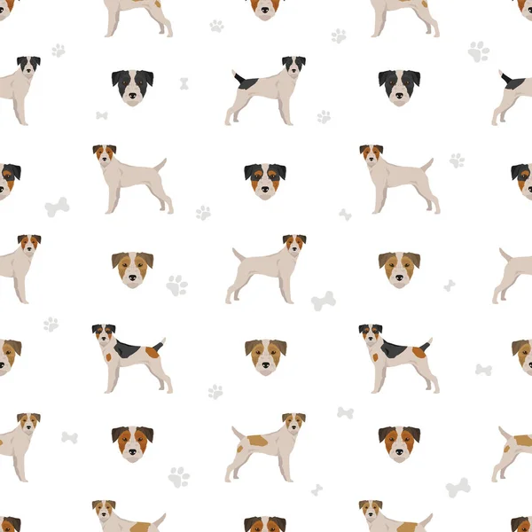 Párroco Russel Terrier Rompió Patrón Sin Costuras Distintas Poses Colores — Vector de stock