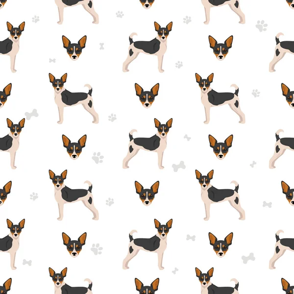 Rat Terrier Seamless Pattern Different Poses Coat Colors Set Vector — Stock Vector